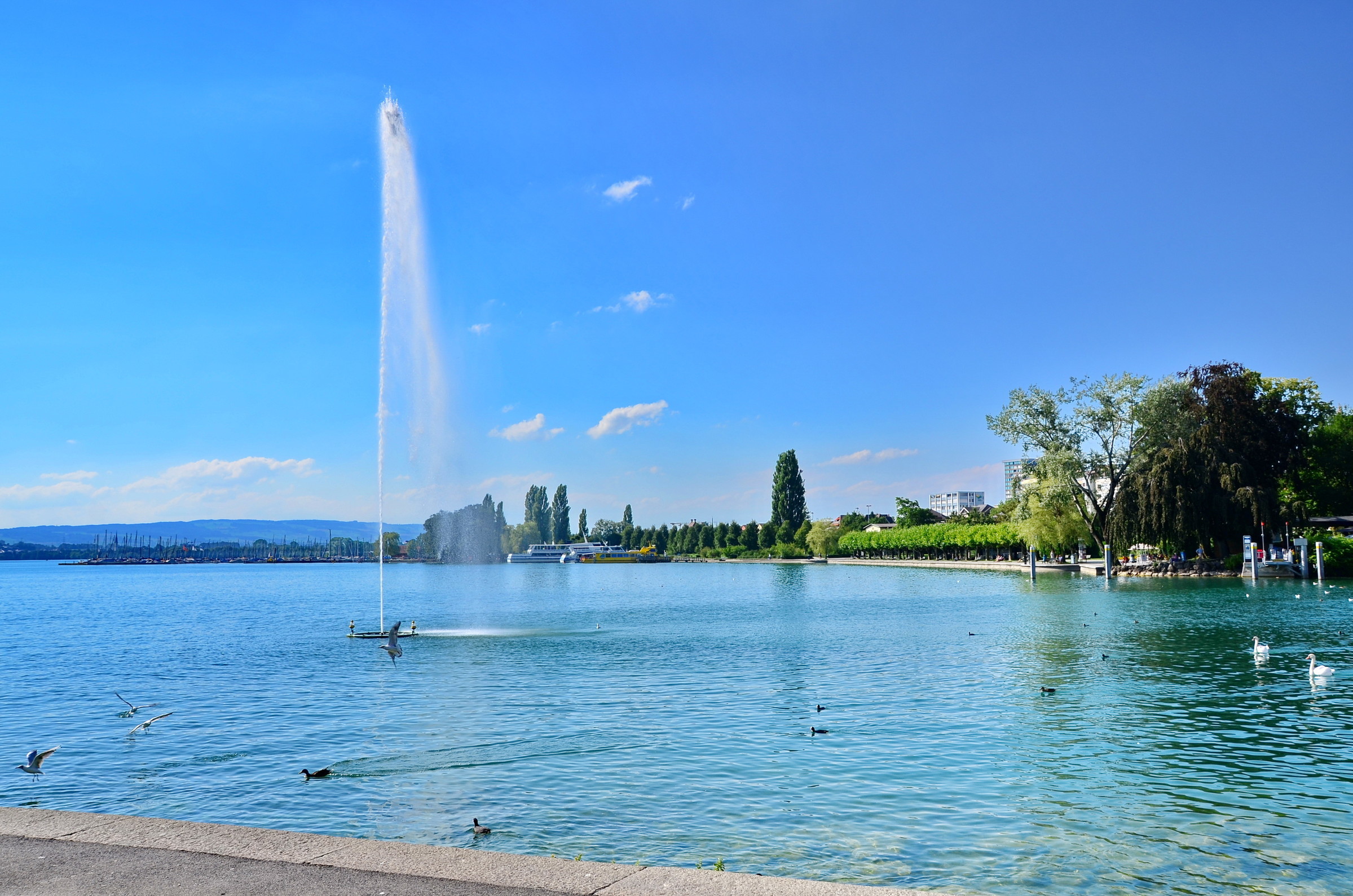Zug